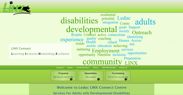 Linx connect website