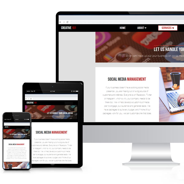 Responsive Professionally Designed Websites